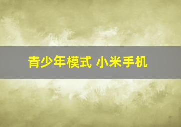 青少年模式 小米手机